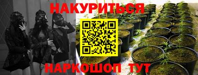 трава Тара