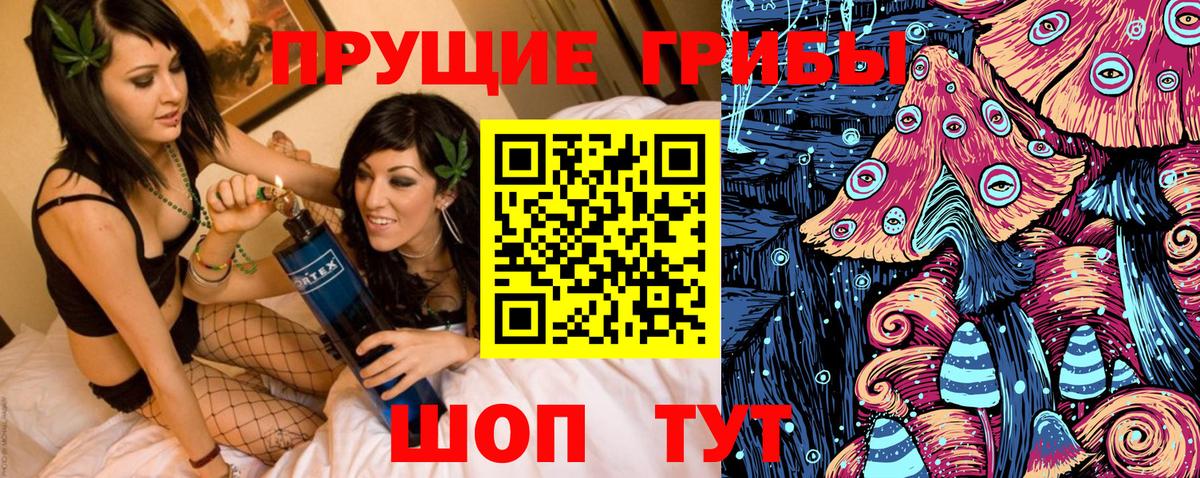 Галлюциногенные грибы Psilocybe Аша
