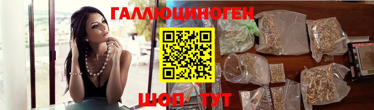 Псилоцибиновые грибы Psilocybe  Вход с VPN  купить наркотик  Аша 